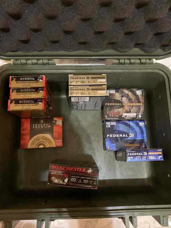 20 gauge buckshot/slug lot