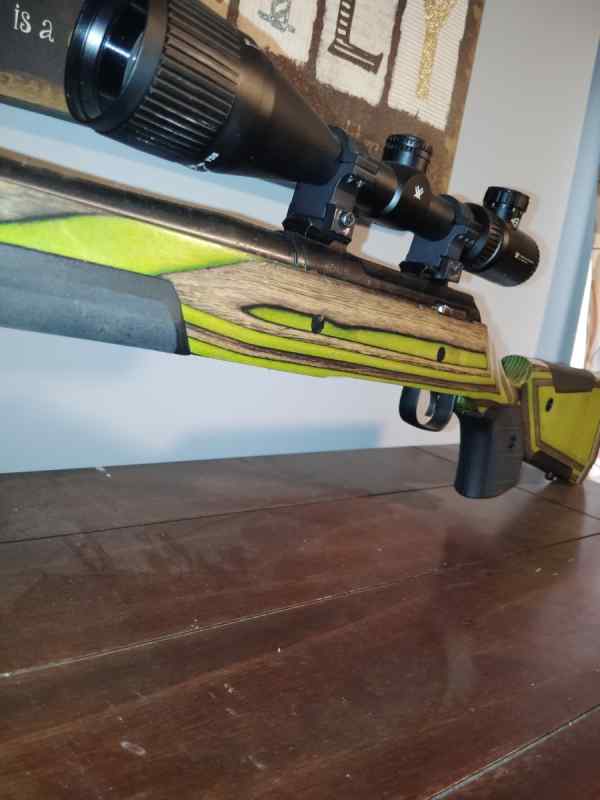 Thompson centerfire 300 SWM with Boyd Stock